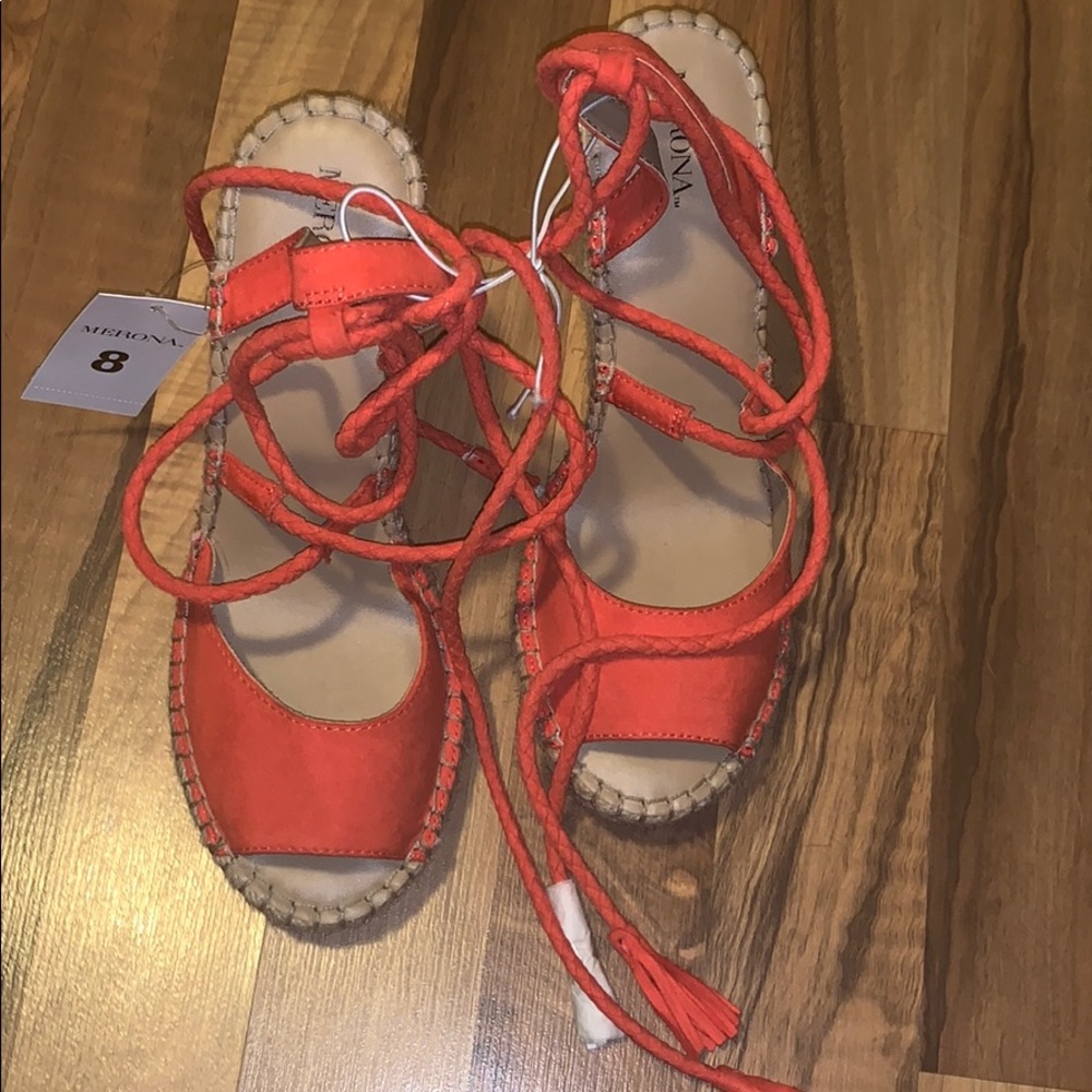 Red wedges